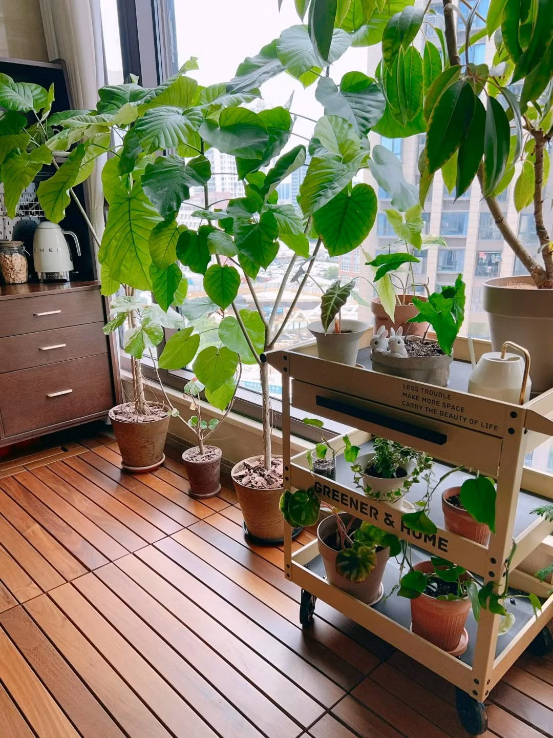 Như vậy cây cảnh Ficus Umbellata không chỉ đẹp, có giá trị trang trí cao, có khả năng thanh tượng trưng cho sức mạnh của tình yêu, sự hòa hợp và thịnh vượng cũng như hy vọng và mong muốn về cuộc sống tốt đẹp, tràn đầy tình yêu thương.