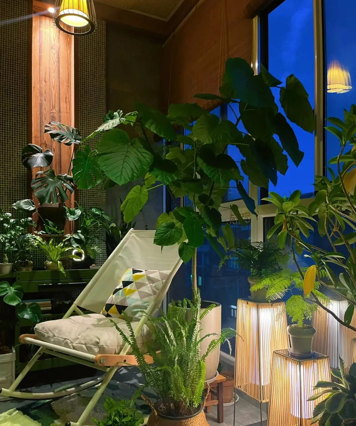  Cây cảnh này còn tượng trưng cho sự sống bền bỉ. Nó có khả năng chịu hạn tốt và sức sống bền bỉ. Nó có thể tồn tại trong thời gian ngắn ở môi trường khô cằn và không sợ úng trong môi trường ẩm ướt. Rễ của nó sẽ mọc rễ trên không để hút ẩm và chất dinh dưỡng. từ trên không duy trì sự tăng trưởng phản ánh tinh thần ngoan cường và bền bỉ của tình yêu. 