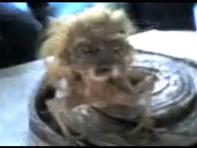 Thuong luong an thit nguoi va loat ‘quai vat’ tung xuat hien o VN-Hinh-6