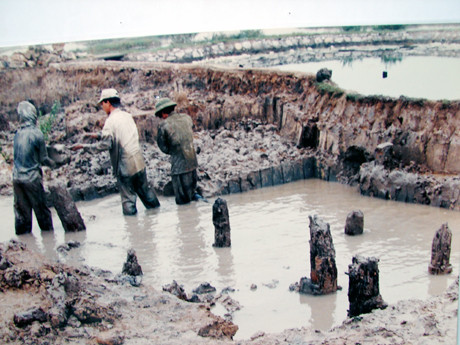 Di tích bãi cọc Bạch Đằng. Ảnh Báo Quảng Ninh.