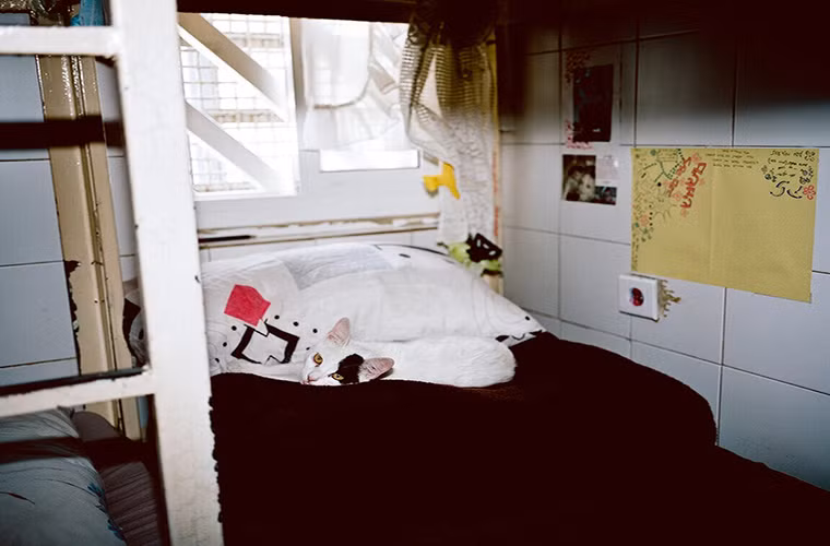 Những nữ tù nhân người Do Thái, Hồi giáo, hay người nhập cư,... đều ở chung một phòng giam.