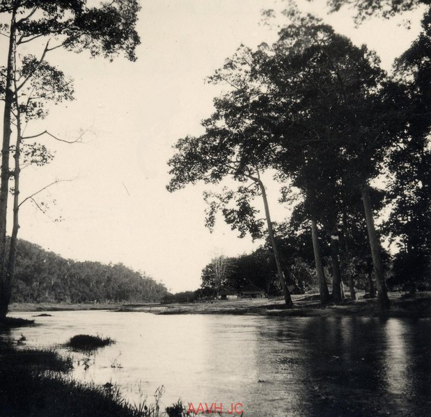 Phong cảnh tại khu đồn điền của Viện Pasteur gần Nha Trang.