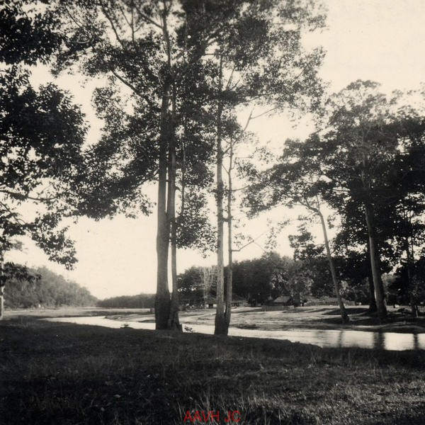 Phong cảnh tại khu đồn điện của Viện Pasteur gần Nha Trang.