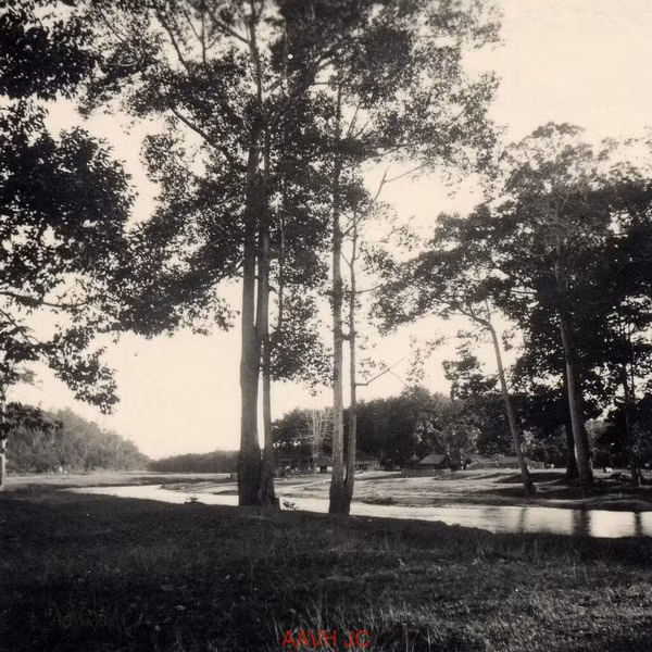 Phong cảnh tại khu đồn điện của Viện Pasteur gần Nha Trang.