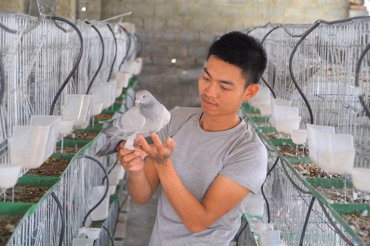 Khoi nghiep voi 35 trieu di vay, 9X dang thu ve nua ty/nam