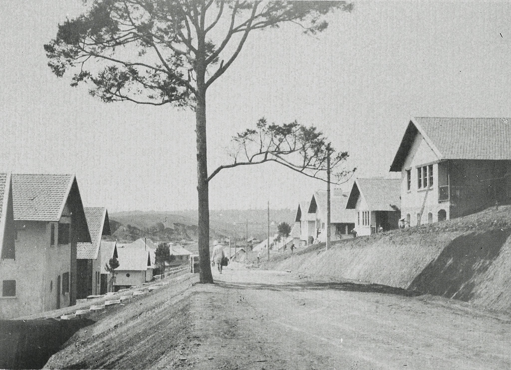 Con đường chính chạy qua làng biệt thự.