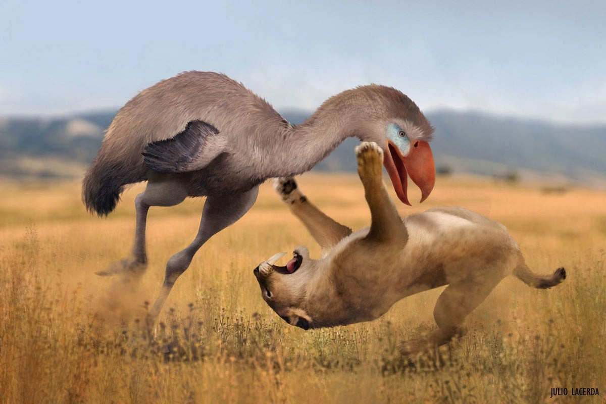 Với kích cỡ đáng nể của mình, Titanis có lẽ từng là loài ăn thịt đỉnh cao trong khu vực. Đối thủ khả dĩ của chúng là hổ răng kiếm (smilodon) và một số loài thú nhỏ hơn sống theo bầy đàn.