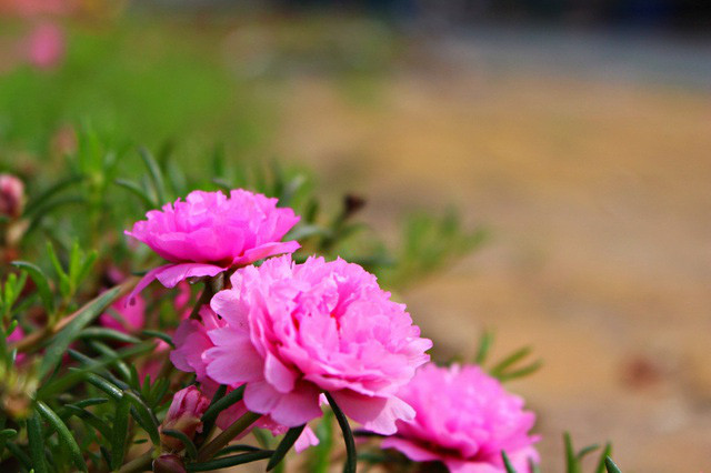 Bí mật sau số tài sản lớn của vợ tương lai Bi mat sau so tai san lon cua vo tuong lai