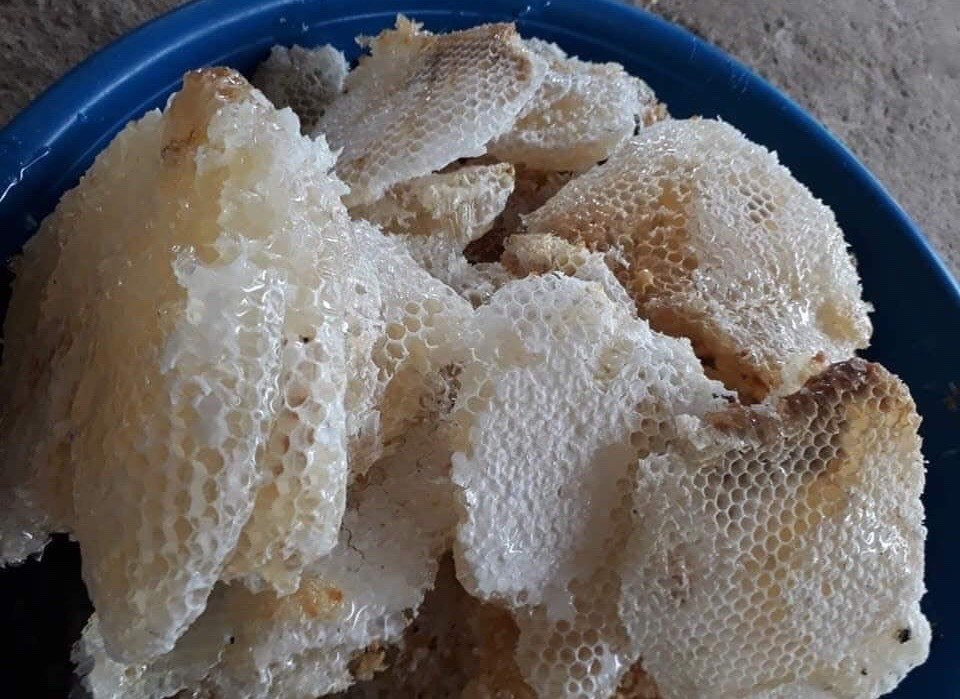 Mat ong trang nhu sua: Moi nam chi co 1 lan