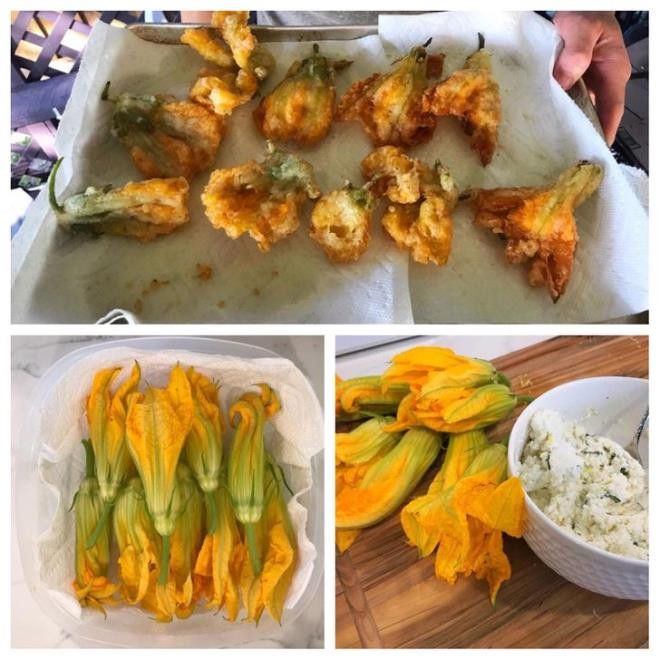 Hoa bí: Theo các chuyên gia, hoa bí rất mỏng, mịn, không có hại cho cơ thể và có thể dùng làm món ăn rất tốt thay vì đem vứt đi như bình thường.