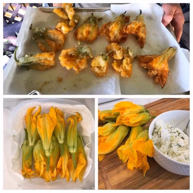 Hoa bí: Theo các chuyên gia, hoa bí rất mỏng, mịn, không có hại cho cơ thể và có thể dùng làm món ăn rất tốt thay vì đem vứt đi như bình thường.