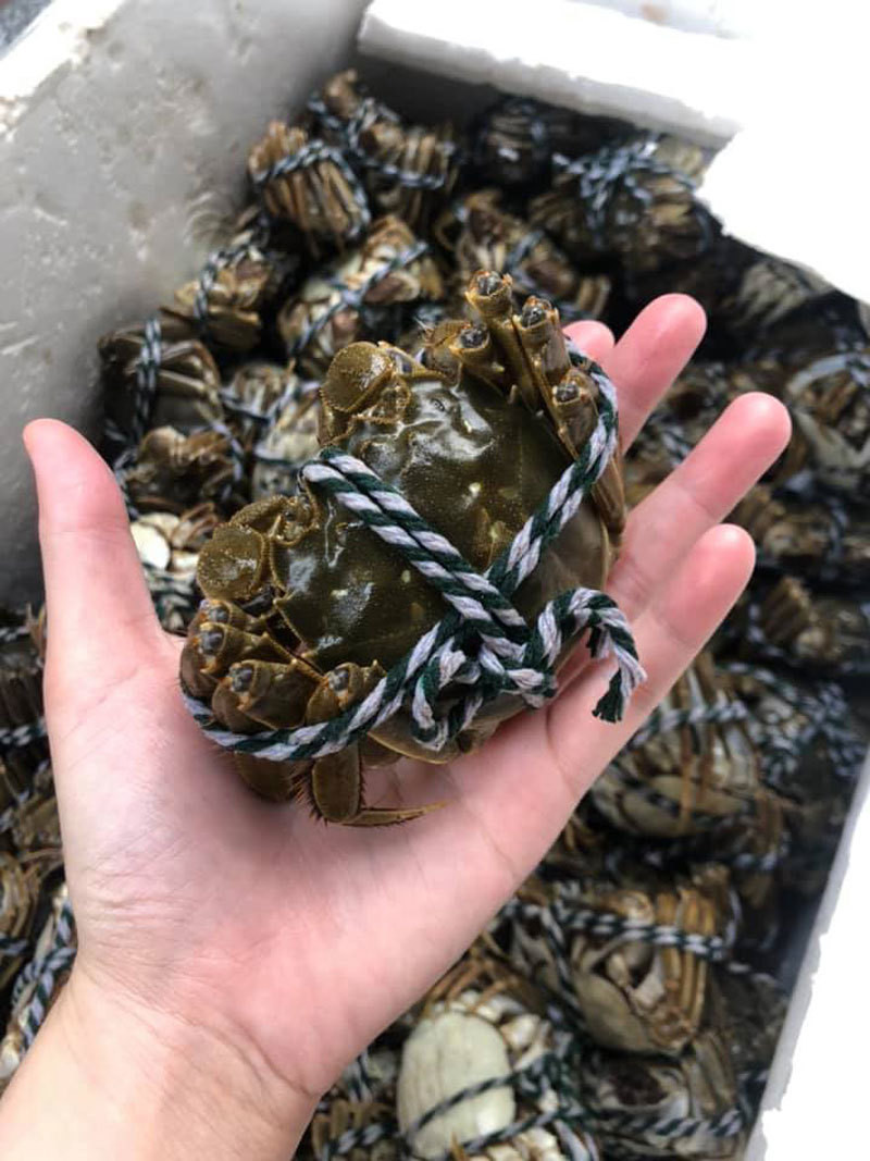 Cua long o Trung Quoc sieu dat, ve Viet Nam gia binh dan?-Hinh-3