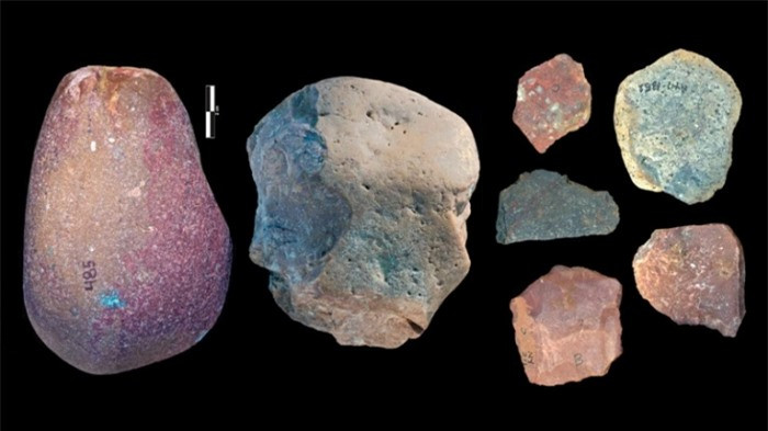 Công cụ đá cổ đại tiết lộ con người ăn thịt hà mã ảnh 1