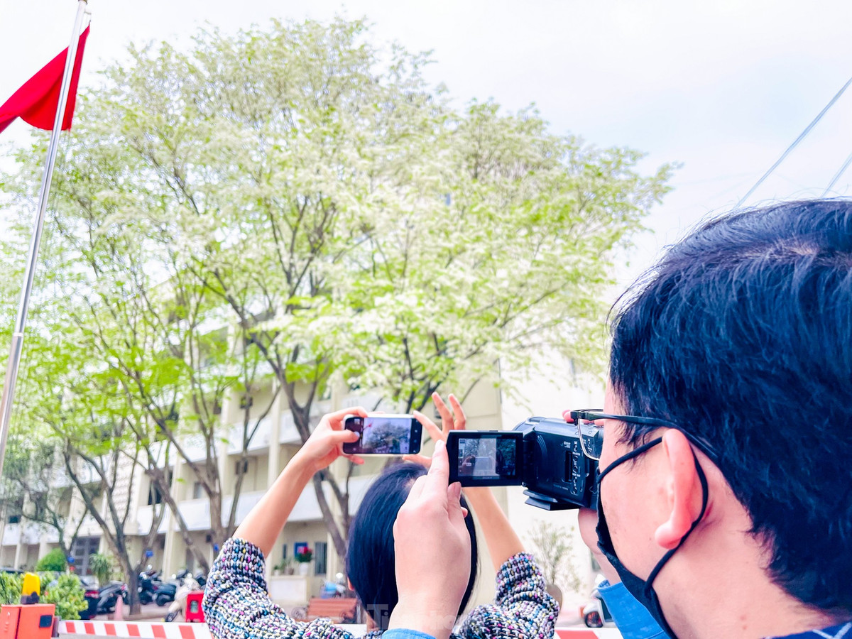 Nhiều bạn trẻ mải mê chụp ảnh, lưu lại những khoảnh khắc đáng nhớ.