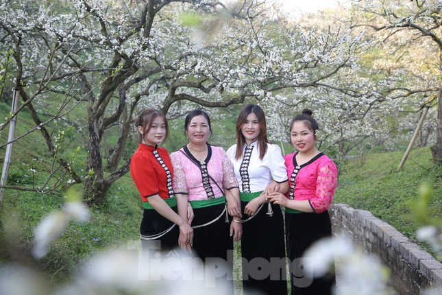 Các cô gái trong trang phục dân tộc e ấp bên vẻ đẹp của hoa mận trên cao nguyên Mộc Châu. Ảnh: Huy Thành