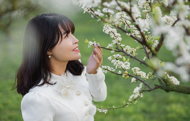 Mùa hoa mận chỉ còn rực rỡ trong khoảng 2 - 3 tuần tới nên du khách cần lên kế hoạch sớm đến Mộc Châu để kịp chiêm ngưỡng vẻ đẹp của đồi hoa mận trắng. Ảnh: Hoàng Hiếu