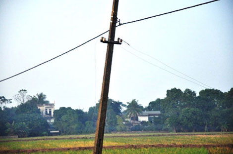 Đường dây điện bị sa xuống ruộng là nguyên nhân dẫn đến cái chết thương tâm.