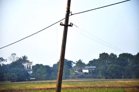 Đường dây điện bị sa xuống ruộng là nguyên nhân dẫn đến cái chết thương tâm.