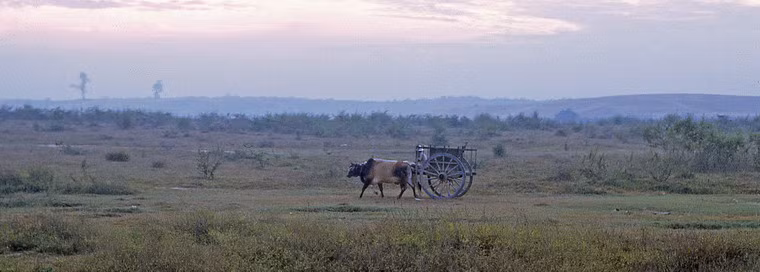 Một khoảnh khắc thanh bình ở ngoại ô.