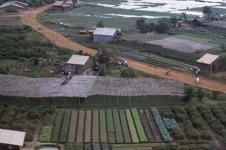 Trang trại ở ngoại ô Sài Gòn.