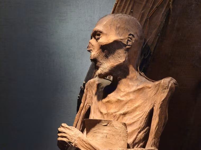 Số lượng xác ướp tự nhiên chiếm khoảng 2% trong số di hài bị đào lên. Sau khi được khai quật, các xác ướp đã được lưu trữ trong một tòa nhà lớn tại thành phố Guanajuato, thủ phủ bang Guanajuato.