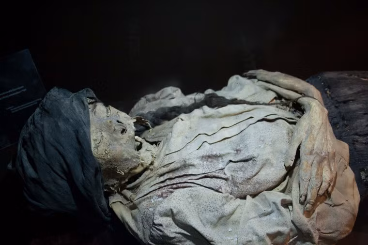 Quá trình khai quật xác ướp tại Guanajuato đã diễn ra từ năm 1865 – 1958, do luật pháp lúc đó yêu cầu thân nhân phải trả tiền thuê đất ở nghĩa trang, nếu không, họ sẽ mất quyền chôn cất và các xác chết sẽ được khai quật lên.