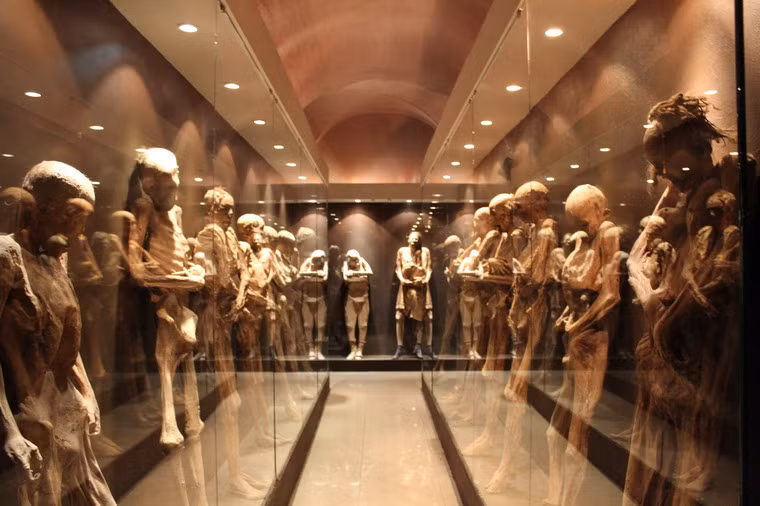 Các xác ướp trong bảo tàng ở Guanajuato được tìm thấy trong nghĩa trang tập thể của địa phương, nơi chôn hàng nghìn nạn nhân của bệnh dịch tả vào năm 1833.