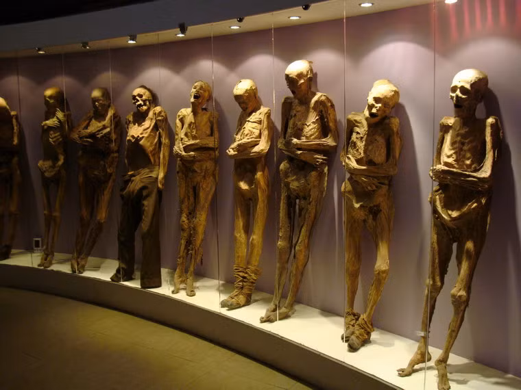 Bảo tàng đã trở thành một trong những điểm thu hút khách du lịch viếng thăm nhiều nhất trên toàn bang Guanajuato và thậm chí trên toàn quốc. Ảnh: Internet.