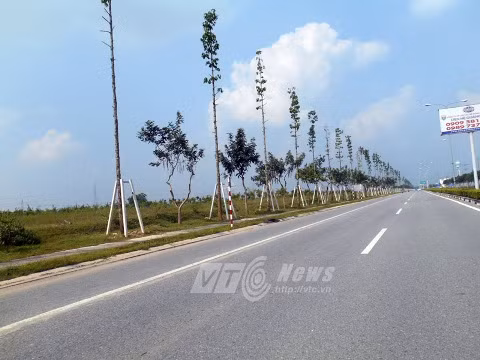 Cơ sở hạ tầng, đường xá, cây xanh, cảnh quanh, môi trường trong KCN Sóng Thần 3 tương đối hoàn chỉnh. Tuy nhiên, phía bên tay trái là khu đất dùng làm khu nhà ở, bị bỏ trống, hoang hóa, gây lãng phí, thiệt hại kinh tế nhiều năm liền.