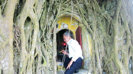 Ngôi miếu Cây Sộp.