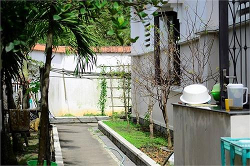 Lối đi quanh nhà được Việt Trinh trồng cây cảnh.