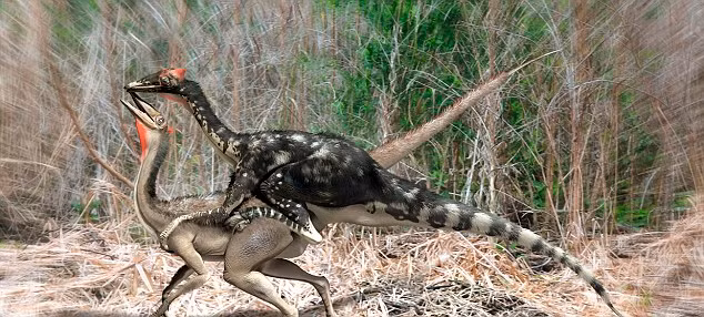 Nhà khoa học người Anh Beverly Halstead đã đưa ra một câu trả lời cho vấn đề này.