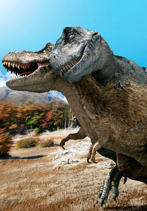 Chúng có nguy cơ bị gẫy xương sống nếu thao tác quá mạnh bạo.