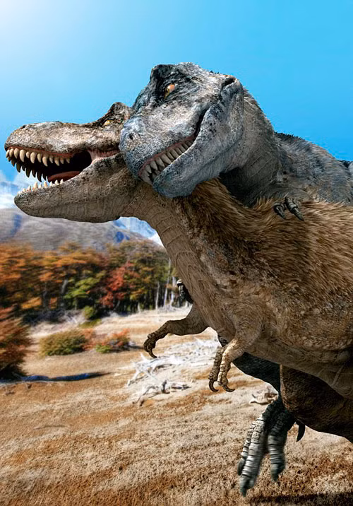 Chúng có nguy cơ bị gẫy xương sống nếu thao tác quá mạnh bạo.