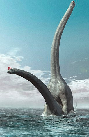 Có ý kiến cho rằng, những con vật này phải làm tình dưới nước để giảm bớt sức ép trọng lượng cơ thể.