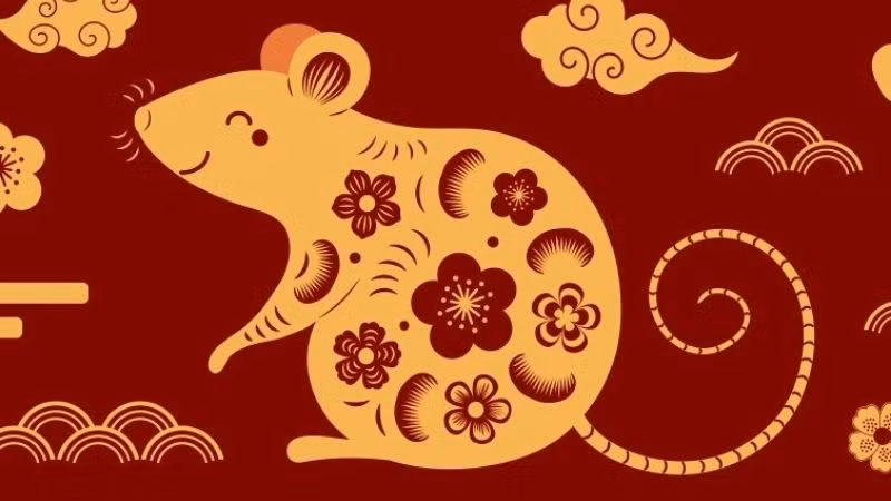 Đối với nhóm tuổi Tý làm chủ, làm ăn riêng cần thận trọng, không được nóng vội. Nửa đầu năm là thời gian duy trì mọi sự việc như cũ, sáu tháng cuối năm là thời gian phát triển, thử nghiệm những ý tưởng mới.