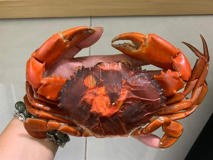 Cua hai da vào mùa nhiều nơi không đủ hàng để bán - Hình 2 Cua hai da vao mua nhieu noi khong du hang de ban-Hinh-2