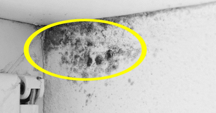 Tran nha bi moc den lau ngay cung sach tinh nho 1 thu