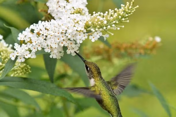 Sinh thang Am lich nay nam 2022 tien quan quanh than, giau u u-Hinh-3