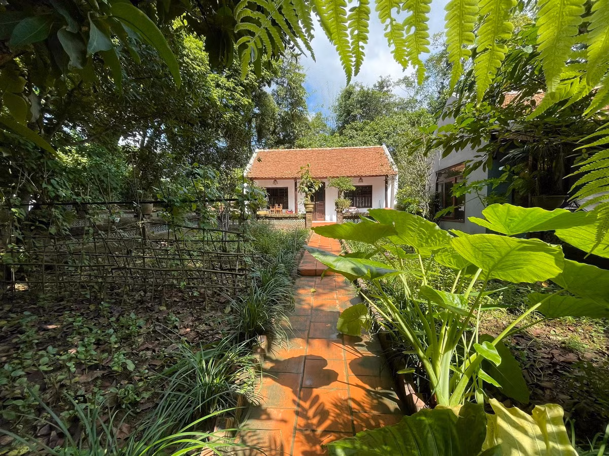 Kien truc su treo deo, loi suoi san lung nha co de phuc dung-Hinh-14