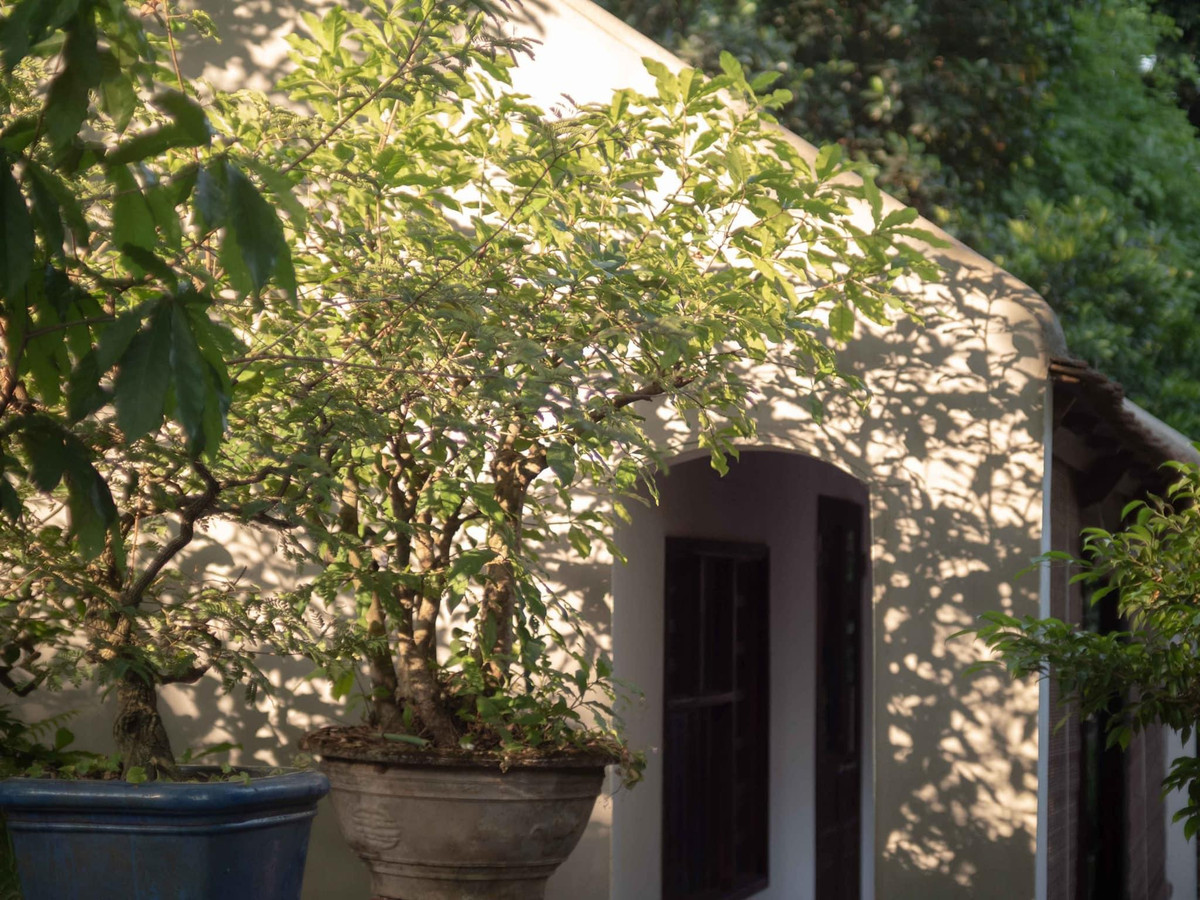 Kien truc su treo deo, loi suoi san lung nha co de phuc dung-Hinh-16