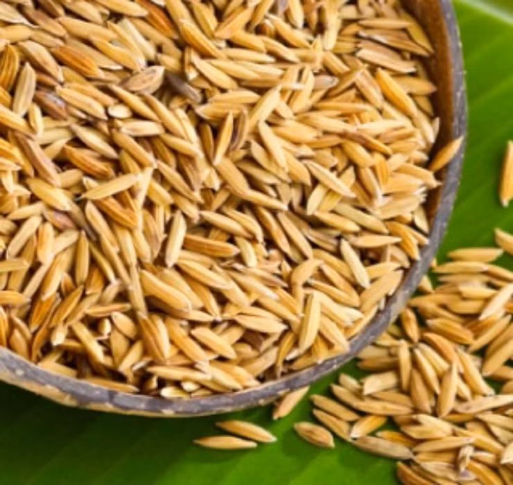 Ngheo rot mong toi bong doi doi nho thu rac thai nay-Hinh-3