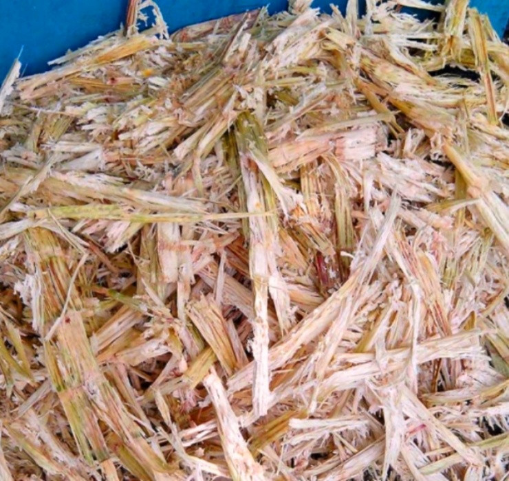 Ngheo rot mong toi bong doi doi nho thu rac thai nay-Hinh-6