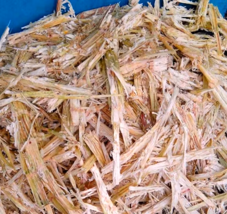 Ngheo rot mong toi bong doi doi nho thu rac thai nay-Hinh-6