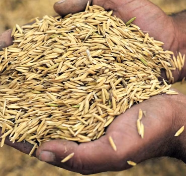 Ngheo rot mong toi bong doi doi nho thu rac thai nay-Hinh-4