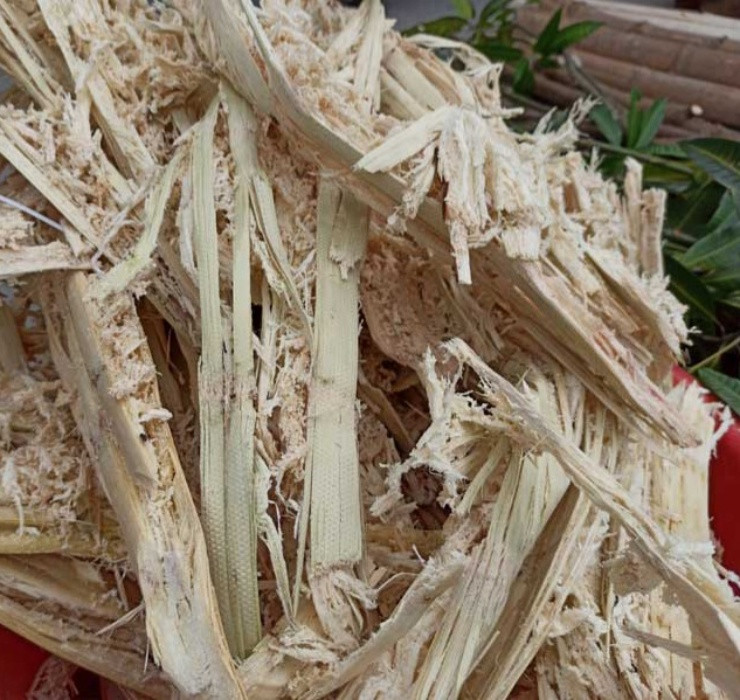 Ngheo rot mong toi bong doi doi nho thu rac thai nay-Hinh-9