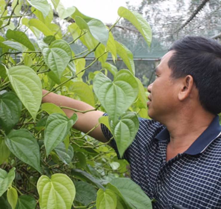 Ngheo rot mong toi bong doi doi nho thu rac thai nay-Hinh-11