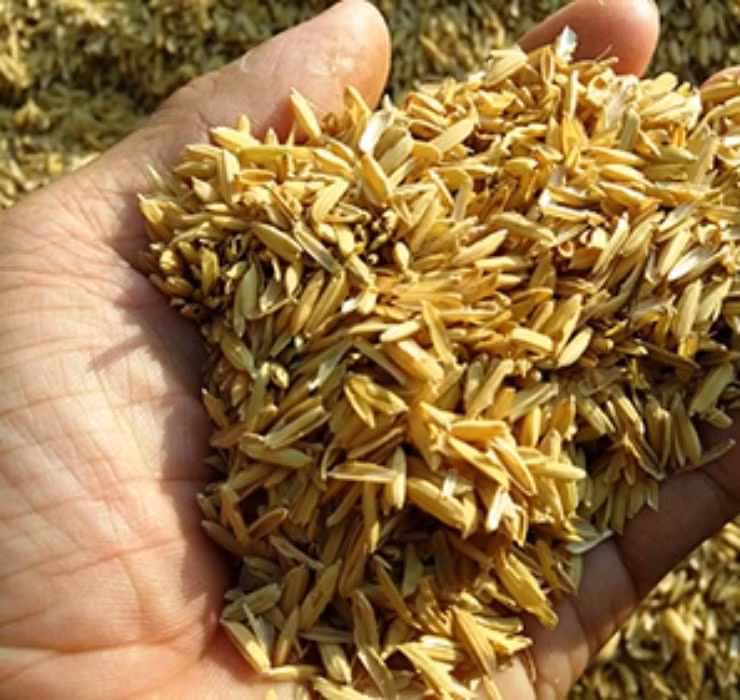 Ngheo rot mong toi bong doi doi nho thu rac thai nay-Hinh-2