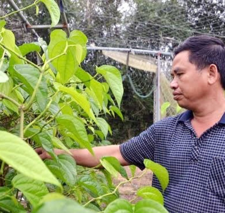 Ngheo rot mong toi bong doi doi nho thu rac thai nay-Hinh-12