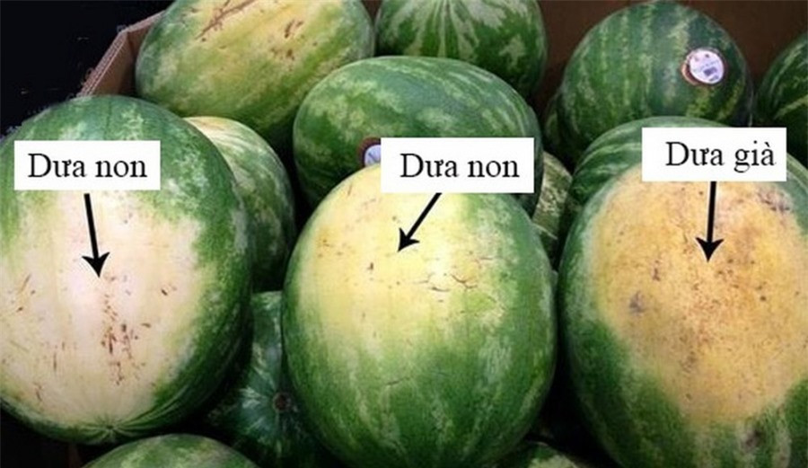 Cach chon dua hau do, ngot chi can nhin duy nhat diem nay